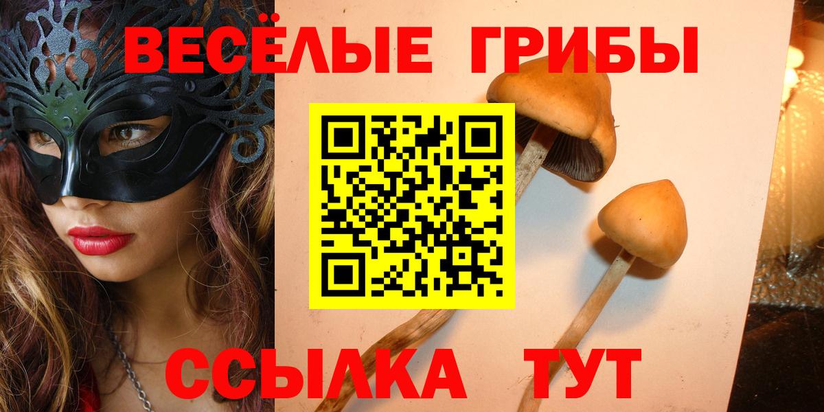 Псилоцибиновые грибы GOLDEN TEACHER  Псилоцибиновые грибы Magic Shrooms  Усолье-Сибирское  Вход с VPN 